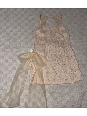 For Love & Lemons Frosted Organza Mini Dress in Cream • Medium